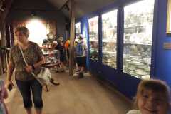 IMG-20230619-WA0054
