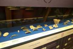IMG-20230619-WA0057