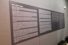 IMG-20230619-WA0061