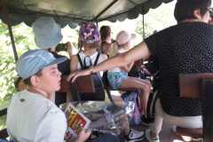 IMG-20230619-WA0062