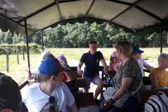 IMG-20230619-WA0063
