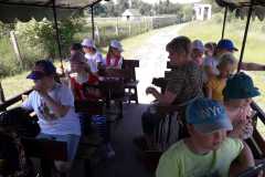 IMG-20230619-WA0066