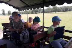 IMG-20230619-WA0067