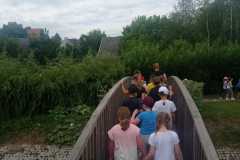 IMG-20240611-WA0007