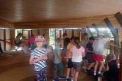 IMG-20240611-WA0009