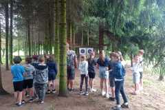 IMG-20240611-WA0018