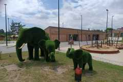 IMG-20240611-WA0042