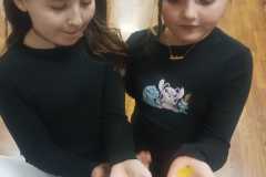 IMG-20241129-WA0002