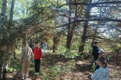 IMG-20250428-WA0008