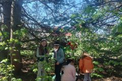 IMG-20250428-WA0013