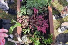 IMG-20250430-WA0003