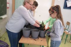 IMG-20250430-WA0029
