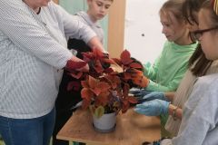 IMG-20250430-WA0034