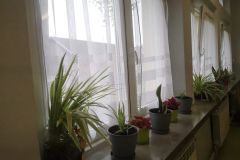 IMG-20250430-WA0037