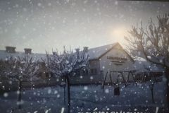 WhatsApp-Image-2025-12-19-at-15.23.20-1