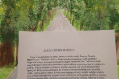 IMG-20250523-WA0045
