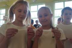 IMG-20241121-WA0038