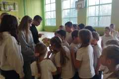 IMG-20241121-WA0041