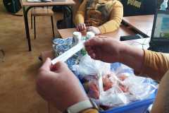 IMG-20241121-WA0058