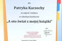 20200525082652807_0011