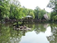 DSCN5248