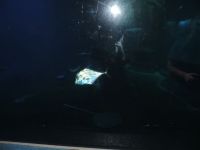 DSCN5273