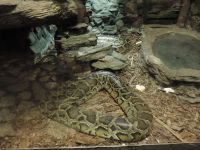 DSCN5320