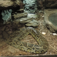 DSCN5320