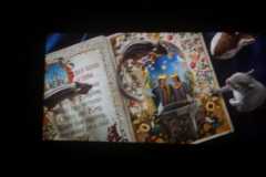 IMG-20250324-WA0006