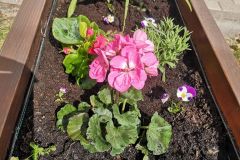 WhatsApp-Image-2026-04-23-at-19.31.05-2