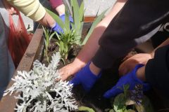 WhatsApp-Image-2026-04-23-at-19.31.06