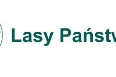logo_LP