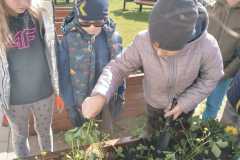 IMG-20240425-WA0005