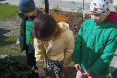 IMG-20240425-WA0006