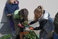 IMG-20240425-WA0008