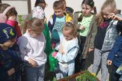 IMG-20240425-WA0010