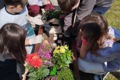 IMG-20240425-WA0028