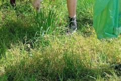 IMG-20240425-WA0036