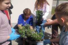 IMG-20240426-WA0022