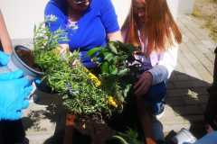 IMG-20240426-WA0023