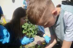 IMG-20240426-WA0030
