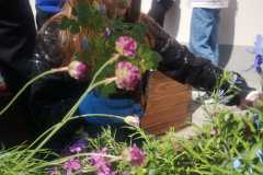 IMG-20240426-WA0031