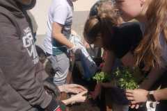 IMG-20240426-WA0033