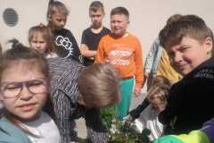IMG-20240426-WA0035