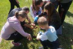 IMG-20240426-WA0038