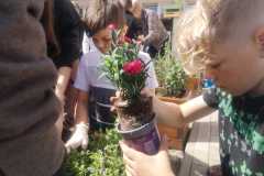 IMG-20240426-WA0041