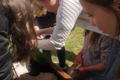 IMG-20240426-WA0044