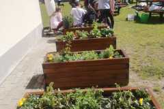 IMG-20240426-WA0045
