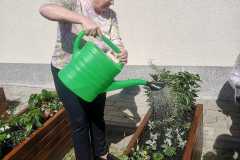 IMG-20240426-WA0046