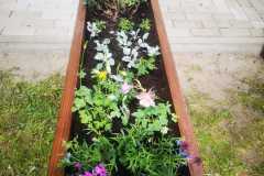 IMG-20240426-WA0049